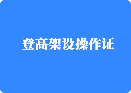 要操白胖细嫩骚女人的骚逼啪啪啪啪啪啪毛片免费视频登高架设操作证